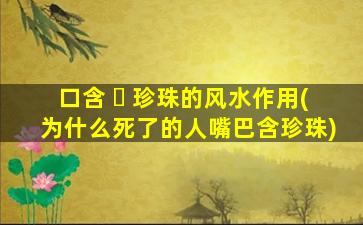 口含 ☘ 珍珠的风水作用(为什么死了的人嘴巴含珍珠)